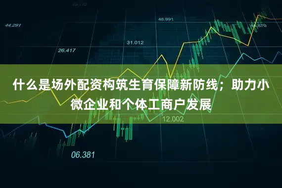 什么是场外配资构筑生育保障新防线；助力小微企业和个体工商户发展