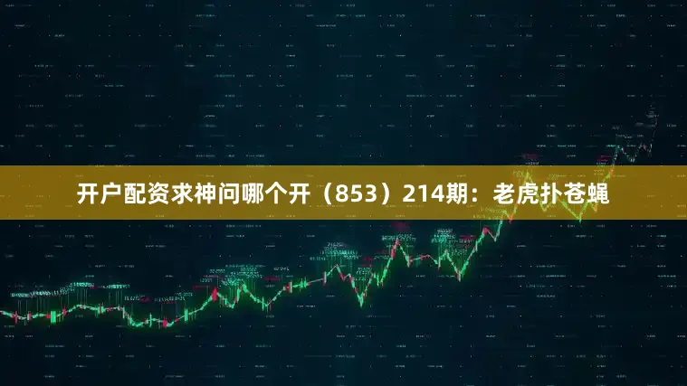开户配资求神问哪个开（853）　　214期：老虎扑苍蝇