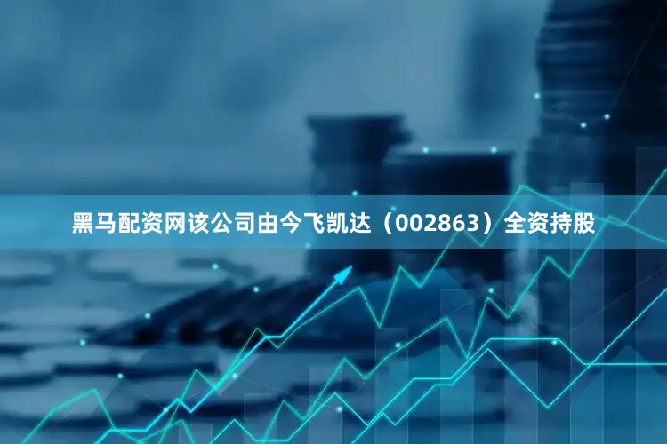 黑马配资网该公司由今飞凯达（002863）全资持股