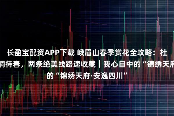 长盈宝配资APP下载 峨眉山春季赏花全攻略:杜鹃抱雪,珙桐待春,两条绝美线路速收藏|我心目中的“锦绣天府·安逸四川”