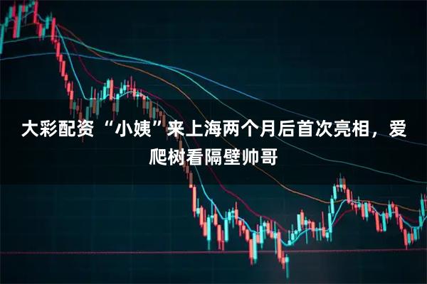 大彩配资 “小姨”来上海两个月后首次亮相，爱爬树看隔壁帅哥